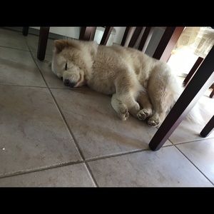 Meet your Posher, Yanan